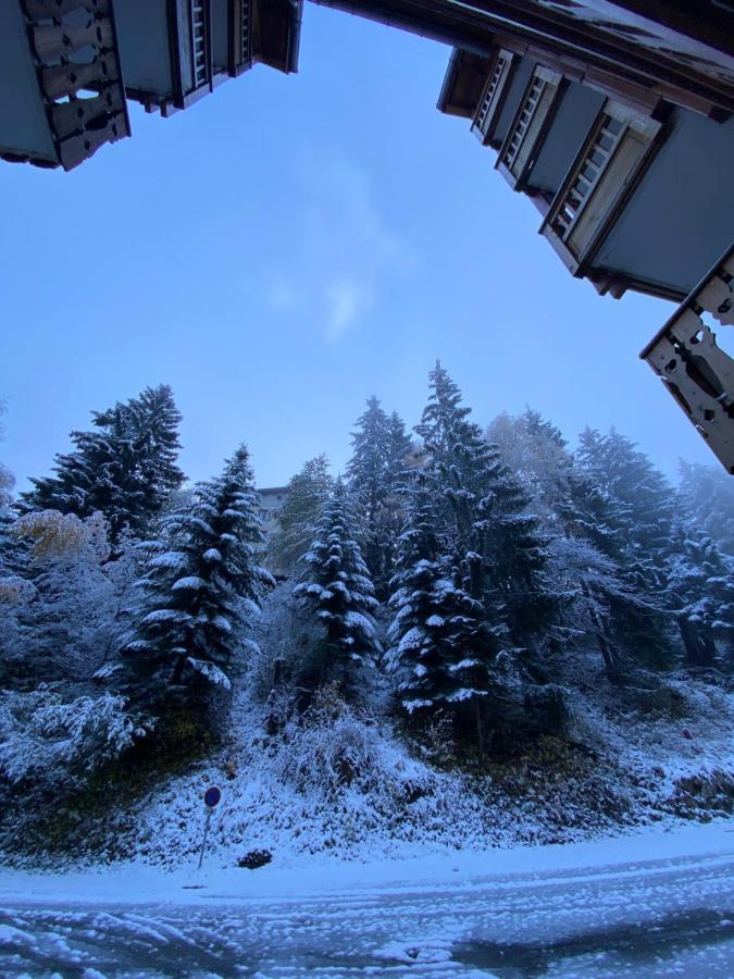Appartement Au Pied Des Pistes Et Commerces - 5 Personnes モダーヌ エクステリア 写真